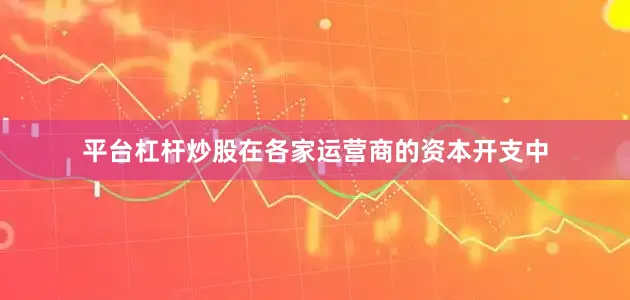 平台杠杆炒股　　在各家运营商的资本开支中