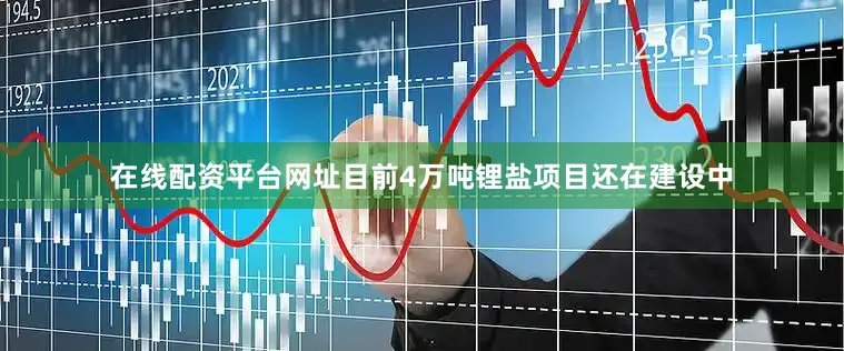 在线配资平台网址目前4万吨锂盐项目还在建设中