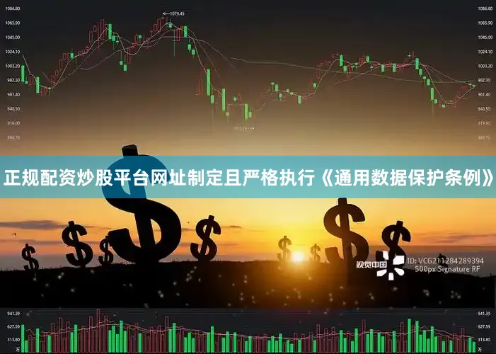 正规配资炒股平台网址制定且严格执行《通用数据保护条例》